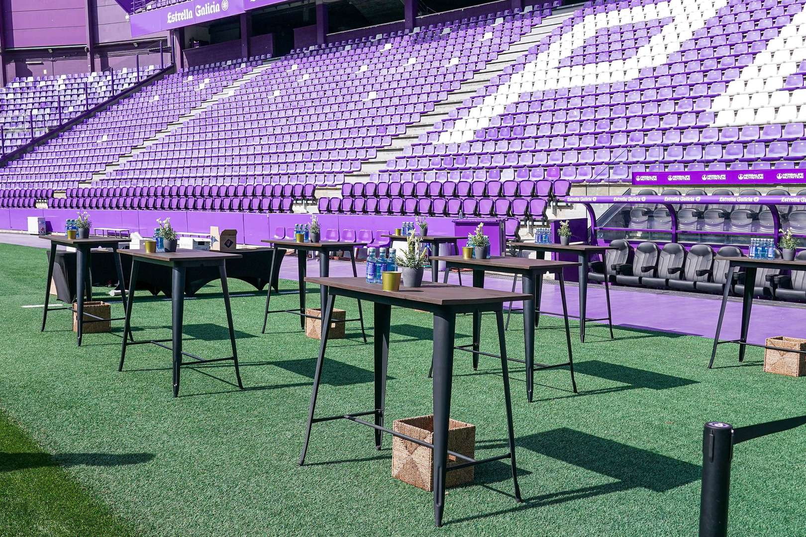 Primer plano de varios platos de comida de diseño variada en una mesa