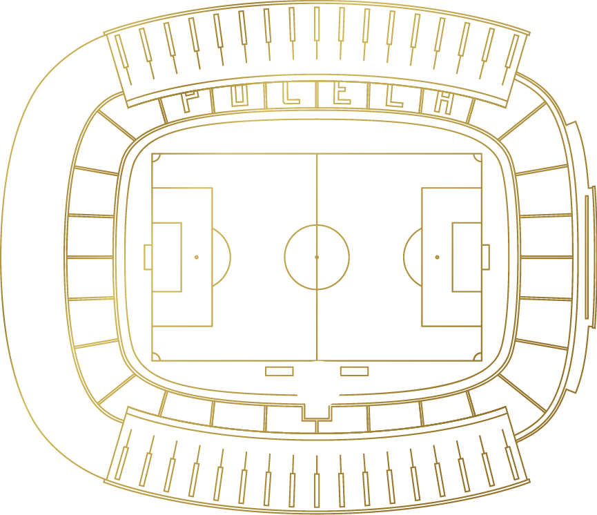 Plano de la posición en el Estadio de la Sala Origen Alma Emoción