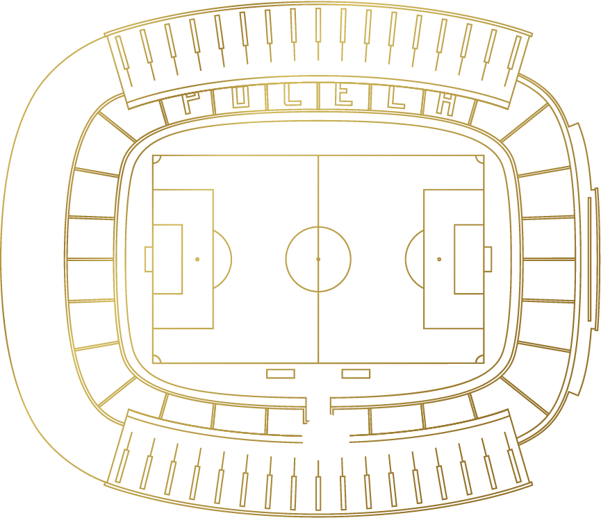 Plano de la posición en el Estadio de la Sala Origen Alma Emoción