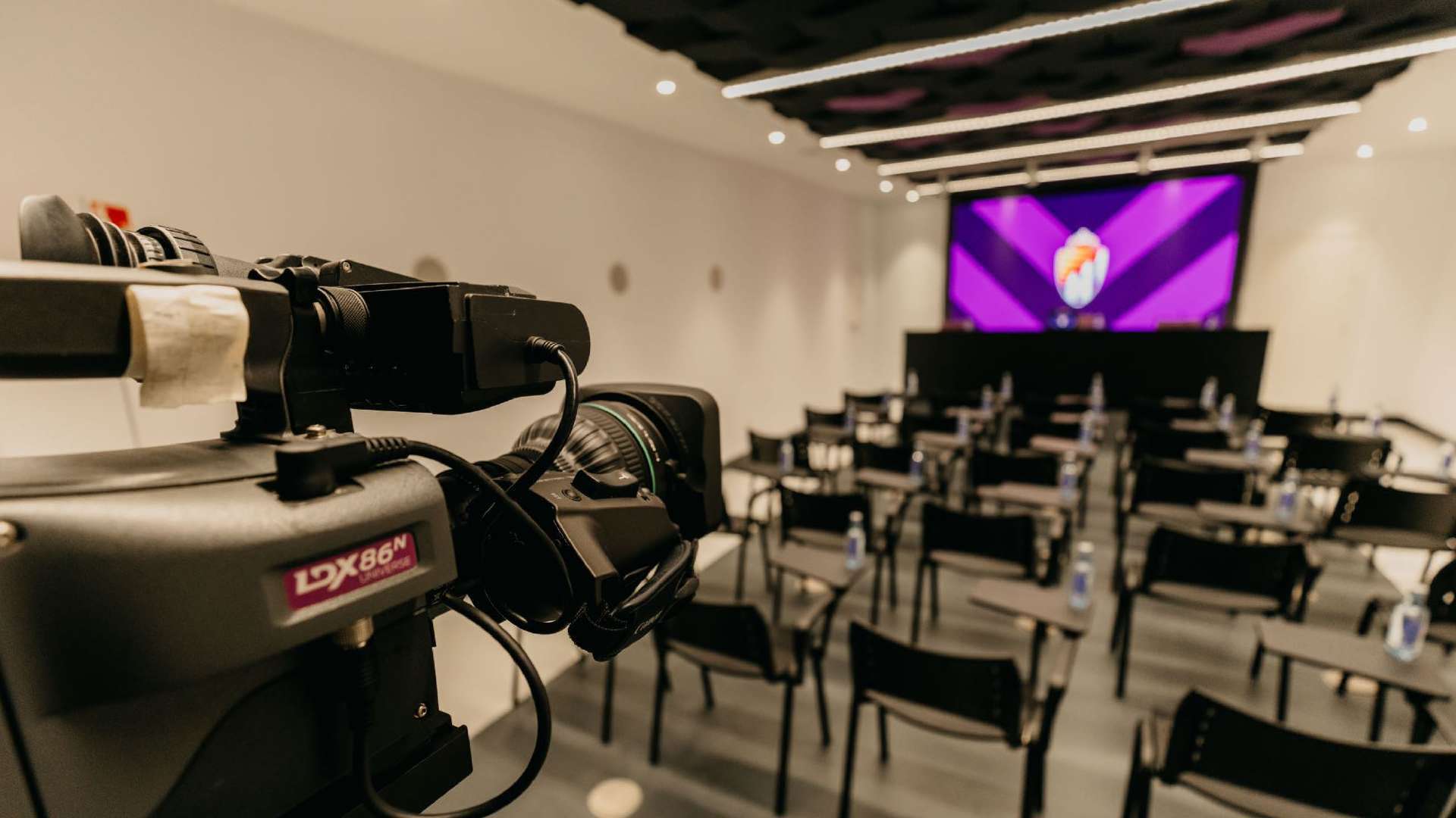 Sala de conferencias con capacidad para 30 personas, con una gran pantalla y equipo de sonido